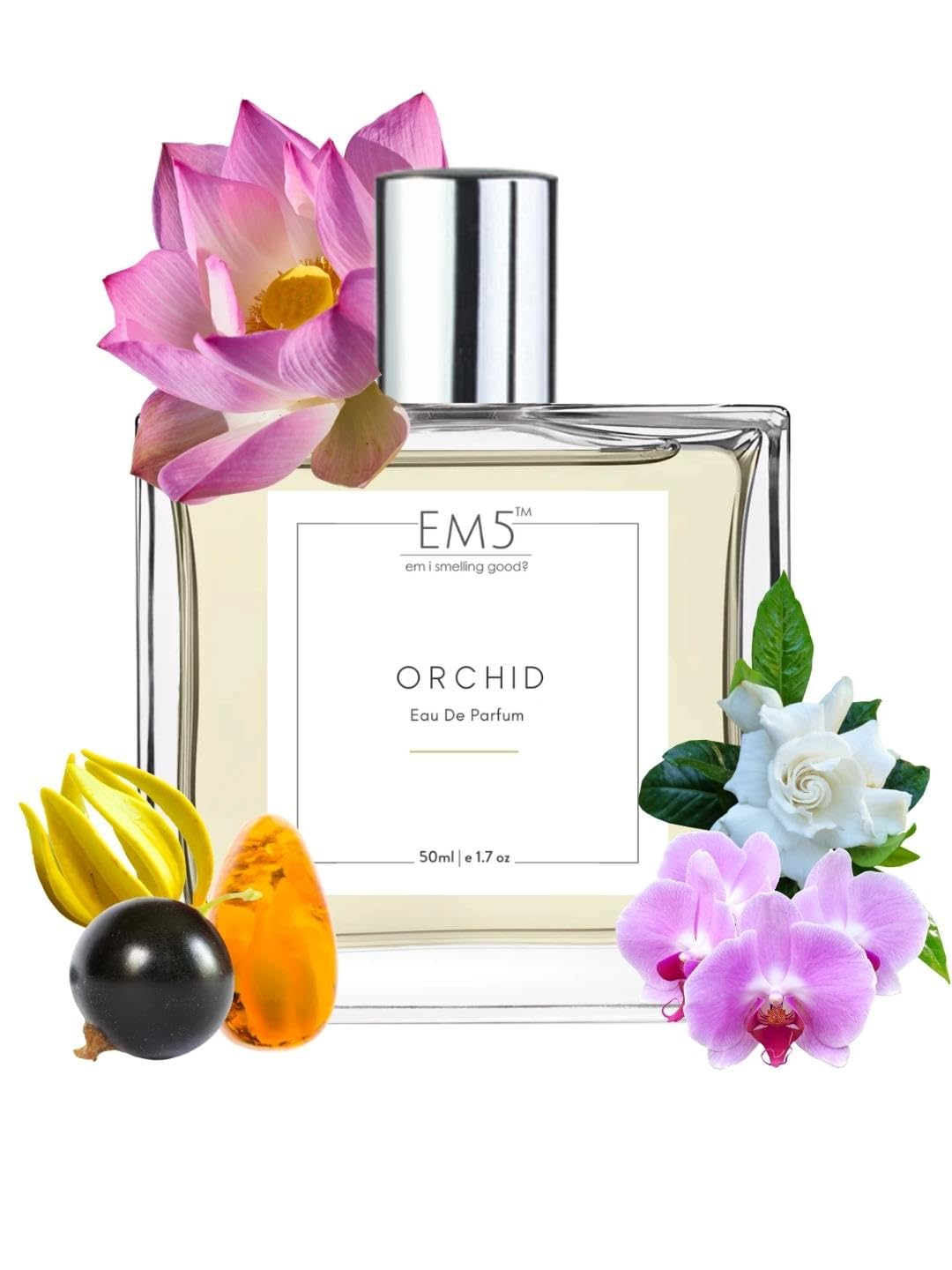 Orchid Fragrances